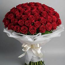 Букет 101 Красная роза Блэк Мэджик #REPLACE_PRED# Элисте