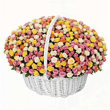 Премиум букет из: Розы в Элисте