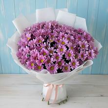 Букет цветов из:  Хризантемы в Элисте