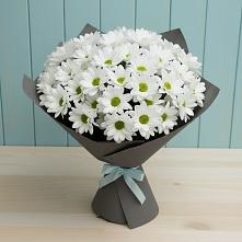 Букет цветов из:  Хризантемы в Элисте