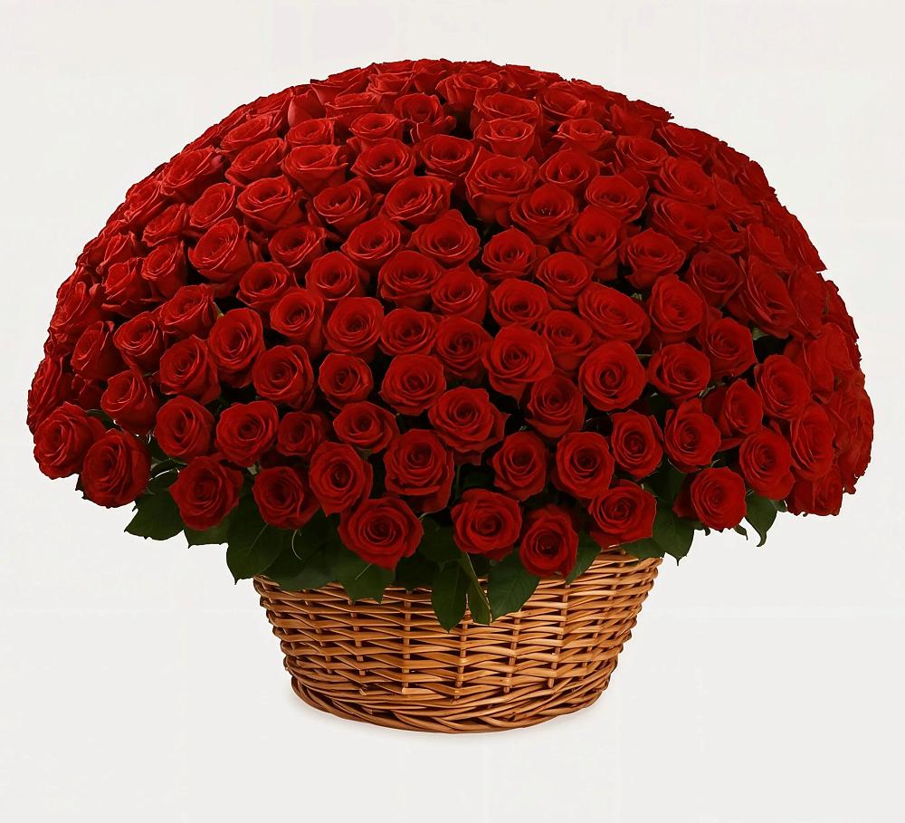 Премиум букет из: Розы в Элисте