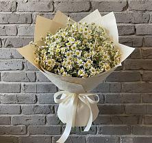 Букет цветов из:  Ромашки в Элисте