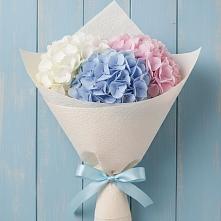 Букет цветов из:  Гортензия в Элисте