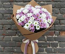 Букет цветов из:  Хризантемы в Элисте