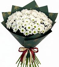 Букет цветов из:  Хризантемы #REPLACE_PRED# Элисте