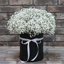 Цветочная композиция из Гипсофила в шляпной коробке в Элисте