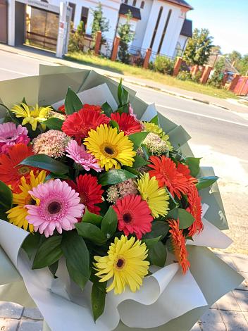 Букет цветов из: Герберы в Элисте